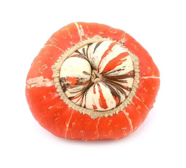 Turcos insólitos Turban squash con centro blanco elevado y rayas — Foto de Stock