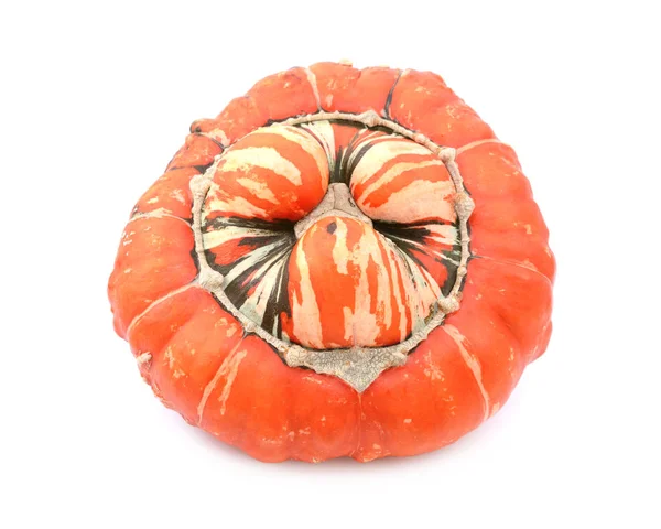 Ribbed and warty orange turban squash with striped, lobed centre — Stock Photo, Image