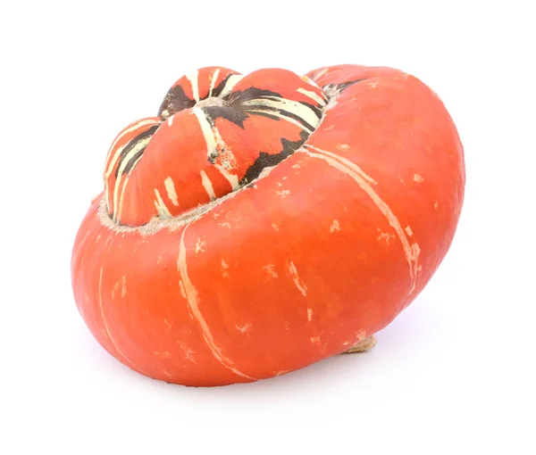 Deep orange turban squash in profile with colourful, striped cen — Stock Photo, Image