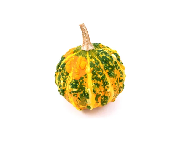 Calabaza ornamental de color verde oscuro moteado y naranja verrugado — Foto de Stock