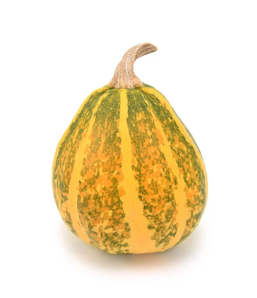 Maduración de calabaza ornamental verde y amarillo, tornándose naranja — Foto de Stock