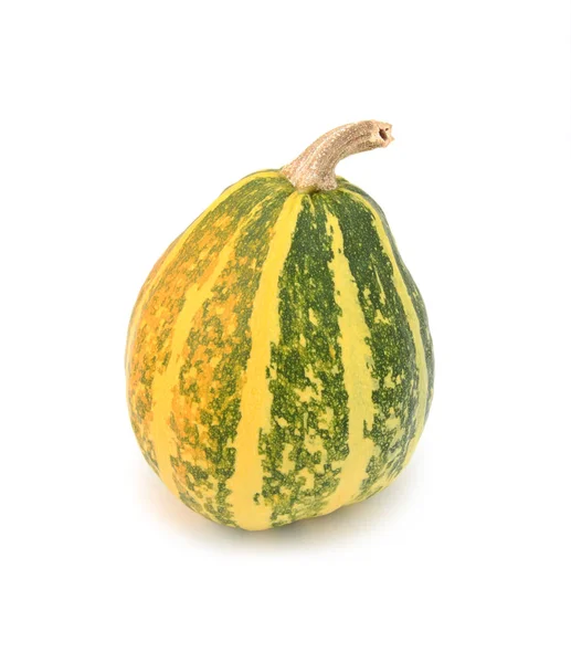 Half-ripe ornamental gourd with yellow and green stripes — Stock Photo, Image