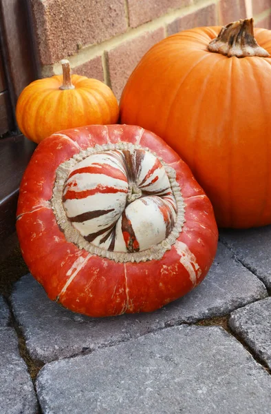 Turcos a rayas Urticaria calabaza y calabazas en una puerta —  Fotos de Stock