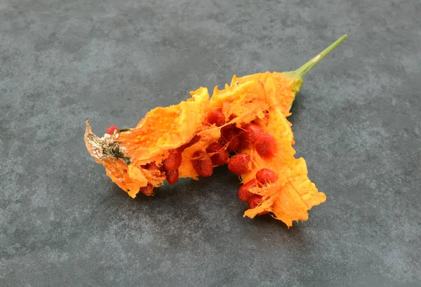 Semillas Rojas Pegajosas Reveladas Dentro Una Calabaza Amarga Naranja Demasiado — Foto de Stock