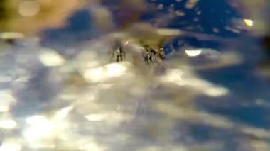 Yaz duş başlığı. Bir close-up bir duş kafa su sprey mavi gökyüzünün altında. Stok video