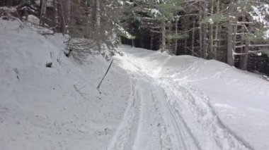 Dağ orman kar yolu POV hiking. UHD 4k steadycam Stok görüntüleri