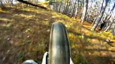 Sonbahar ormanda Bisiklet hareket arkasında arkadan görünüş 