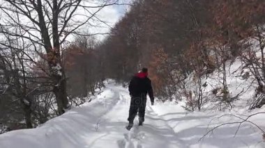 Erkekler kar orman hiking