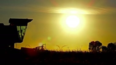 Günbatımı sırasında bitkileri toplama birleştirmek yan görünüm