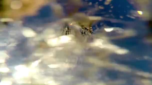 夏のシャワー ヘッドに 青い空の下のシャワー ヘッドの水スプレーのクローズ アップ ストック ビデオ — ストック動画