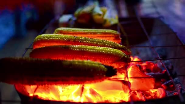 Grille Maïs Sur Barbecue Charbon Nuit — Video
