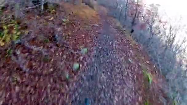 Вид Гірську Їзду Велосипеді Восени — стокове відео