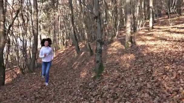 昼間で秋の木に女性ランナー — ストック動画