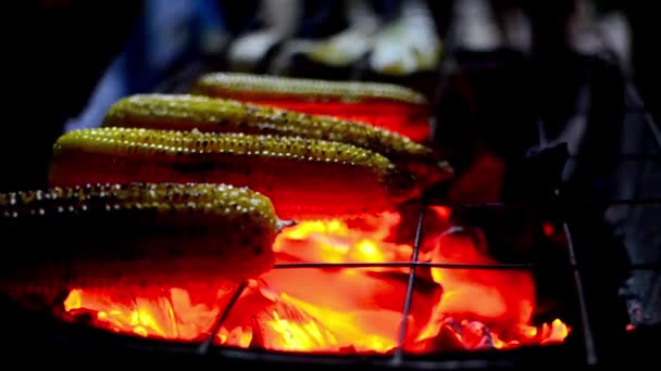 Maïs sur barbecue au charbon — Video