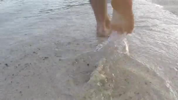 Jambes Masculines Marchant Pieds Nus Sur Plage Sable Humide Île — Video