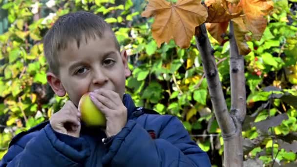 男孩吃苹果和微笑在庭院里 — 图库视频影像
