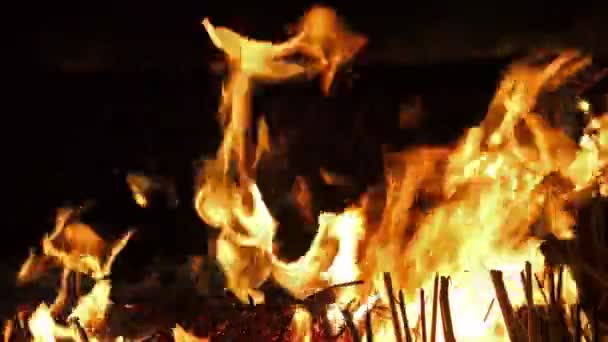 Fire Burning Straw Darkness — Stock Video