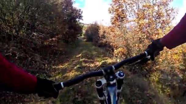 Blick Auf Das Mountainbiken Herbst — Stockvideo