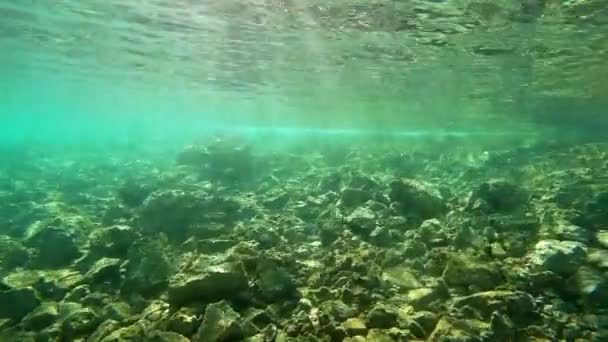 Υποβρύχια Πλάνα Από Βράχους Και Τροπικά Ψάρια — Αρχείο Βίντεο