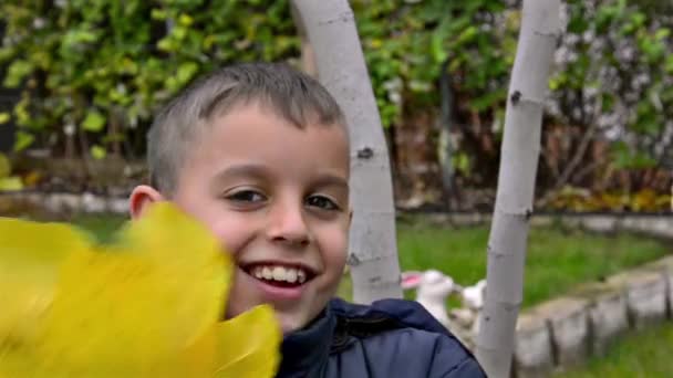 男孩玩耍 在秋天公园的叶子后面躲藏 — 图库视频影像
