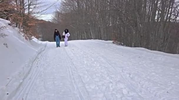 Deux Amies Atractives Marchant Sur Neige Hiver Parlant Uhd Steadycam — Video