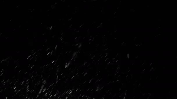 Blizzard pluie tombante et flocons de neige 