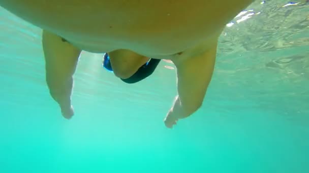 Profesyonel Yüzme Eğitim Yüzme Havuzunda Sualtı Görüntüleme — Stok video