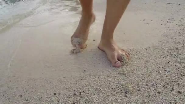 Mannelijke Benen Blootsvoets Lopen Natte Zand Eiland Strand — Stockvideo