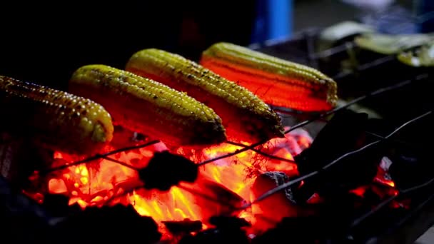 Kukurydza na węgiel do grillowania — Wideo stockowe
