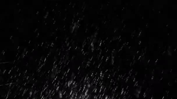 Blizzard falling rain and snowflakes — Stock Video