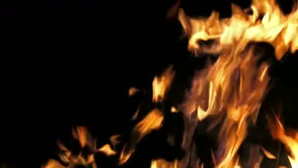 Siyah üzerine yanan ateş alev — Stok video
