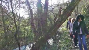 Aile Orman countrypath içinde hiking, steadycam stok video çekim