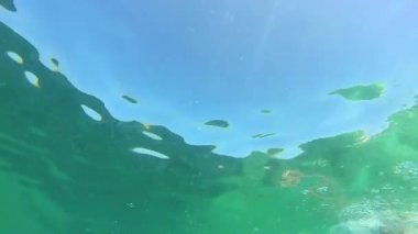 Yüzücü adam yüzme gezinme. gezinme su altında yüzmek vuruş yapıyor erkek Yüzücü sualtı görüntüleri. Ağır çekim