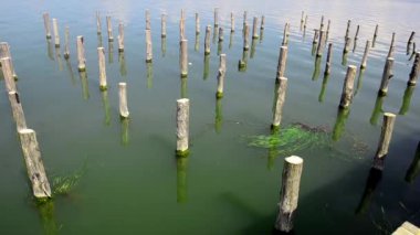 Su terk edilmiş ahşap sütun görünümü