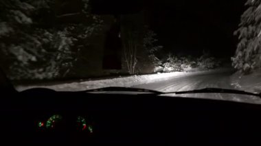 kış orman içinden araba