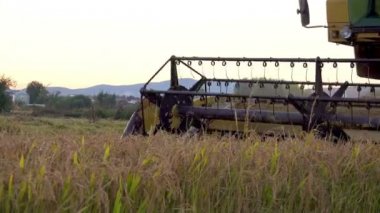 Buğday, pirinç ve çavdar hasat birleştirmek bıçaklar yan görünüm