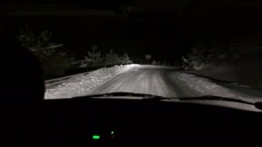 kış orman içinden araba