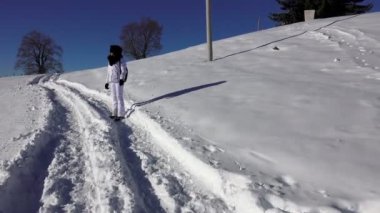 4k siyah arka plan üzerine dönen tuzlu iştah açıcı Antepfıstığı kavrulmuş. UHD stok video