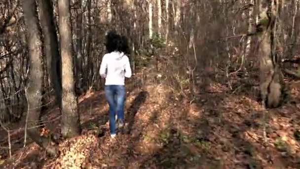 Female Runner Autumn Wood Daytime — Stock Video