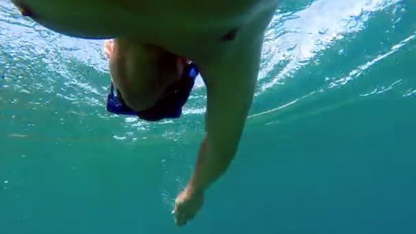 Vista Subacquea Dell Allenamento Professionale Nuoto Piscina — Video Stock