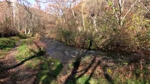 Bospad Buurt Van Lake Najaar Onder Blauwe Hemel — Stockvideo