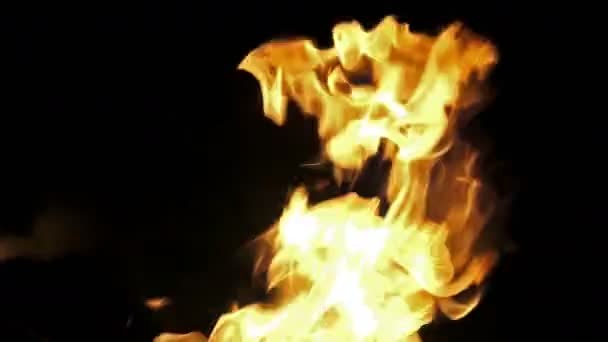 Yangın Diller Siyah Arka Plan Üzerine Yakın Çekim — Stok video