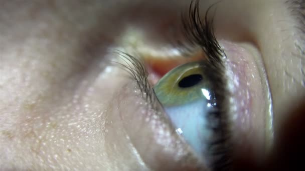 人間の目が点滅 Uhd ストック ビデオの マクロ接写 — ストック動画