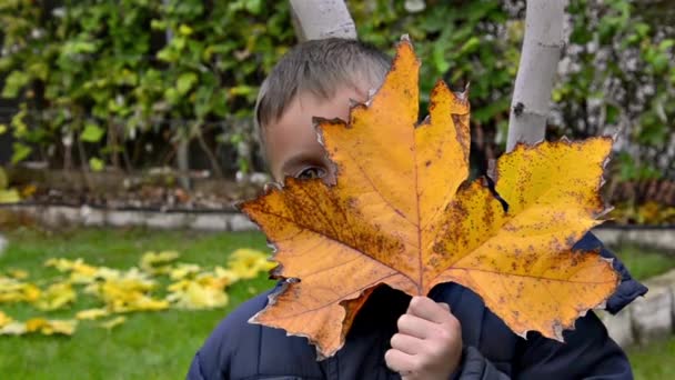 Bir Parkta Sonbahar Yaprakları Ile Mutlu Bir Çocukluk Çalış — Stok video