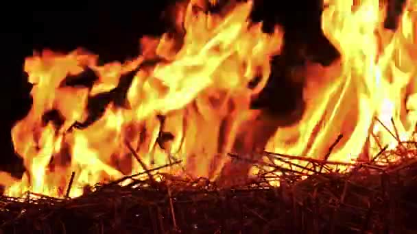Fire flame burning straw — Stock Video