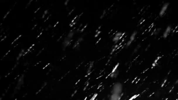 Blizzard Falling Rain Snowflakes Matte Wide Angle Uhd Real Stock — Stock Video