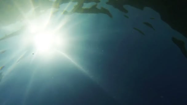 Silhouette Eines Tauchers Mit Sonnenstrahlen Aus Dem Unterwasser — Stockvideo