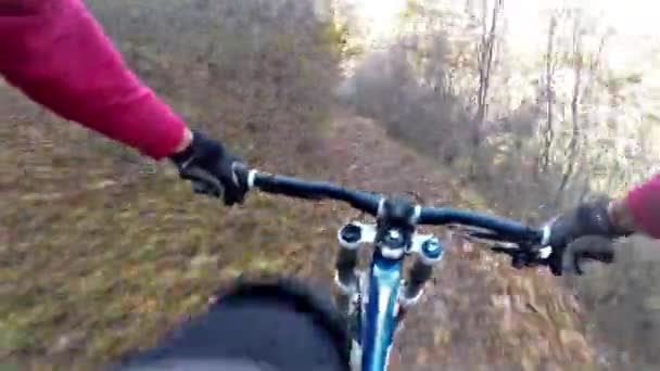 Utsikt Över Berget Rider Cykel Hösten — Stockvideo