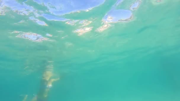 Brunette Vrouwelijke Zwemmen Onder Water Het Zwembad Uhd Voorraad Video — Stockvideo