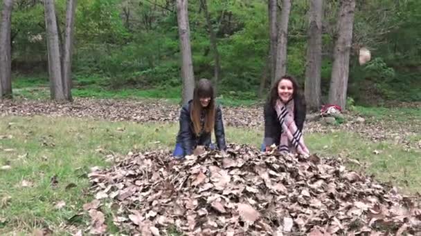 Slow Motion Two Teens Throwing Autumn Leaves Park — Stock Video